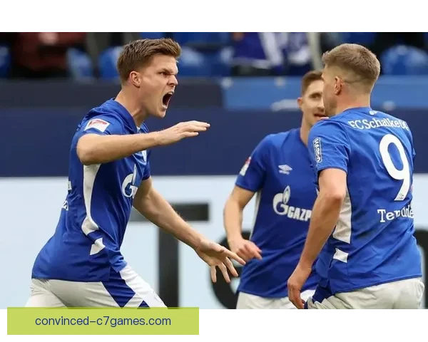 霍芬海姆1899俱乐部崛起之路与德甲征程全景解析战术体系与青训传奇